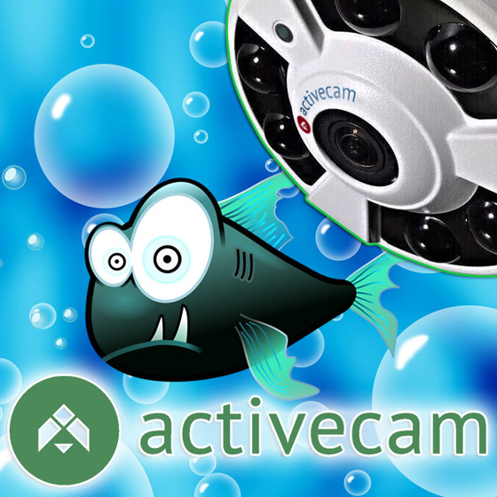 ActiveCam AC-D9141IR2 – FishEye